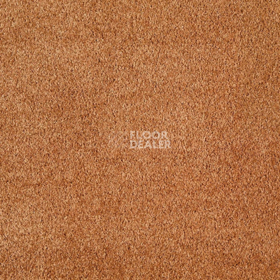 Ковролин AW Scent 84 фото 1 | FLOORDEALER